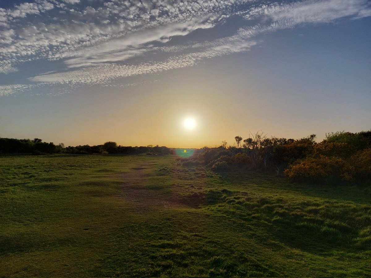 WildersLiz's tweet photo. #Day147 of #100daysofwalking #Day1967
#round6crew #MentalHealthAwareness #200daysofwalking
WOW, 30⁰ that was a hell of a hot day 🥵 https://t.co/B7wvDEn7Ky