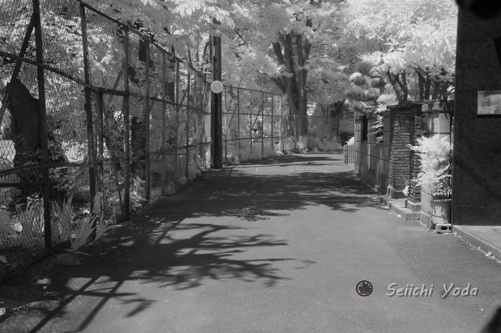 agehasamurai's tweet photo. お早う御座います。上千歳にて！　裏道　宜しくです。 https://t.co/eIT5oykwv0