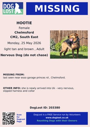 LisaClareRead2's tweet photo. 🚨 URGENT 🚨 
Hootie a newly homed rescue dog in the #UK has gone missing 25th May 2026 from the #Chelmsford area of #Essex
Please Do Not approach as she is VERY nervous, report sightings only. 
Thank you 🙏💕🐾

https://t.co/2piuCqcxOQ
#SouthEast #CM2 #k9hour #rehomehour https://t.co/r9YwXfl7cp