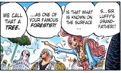 Ra D. Buster ♡ Wano tweet media