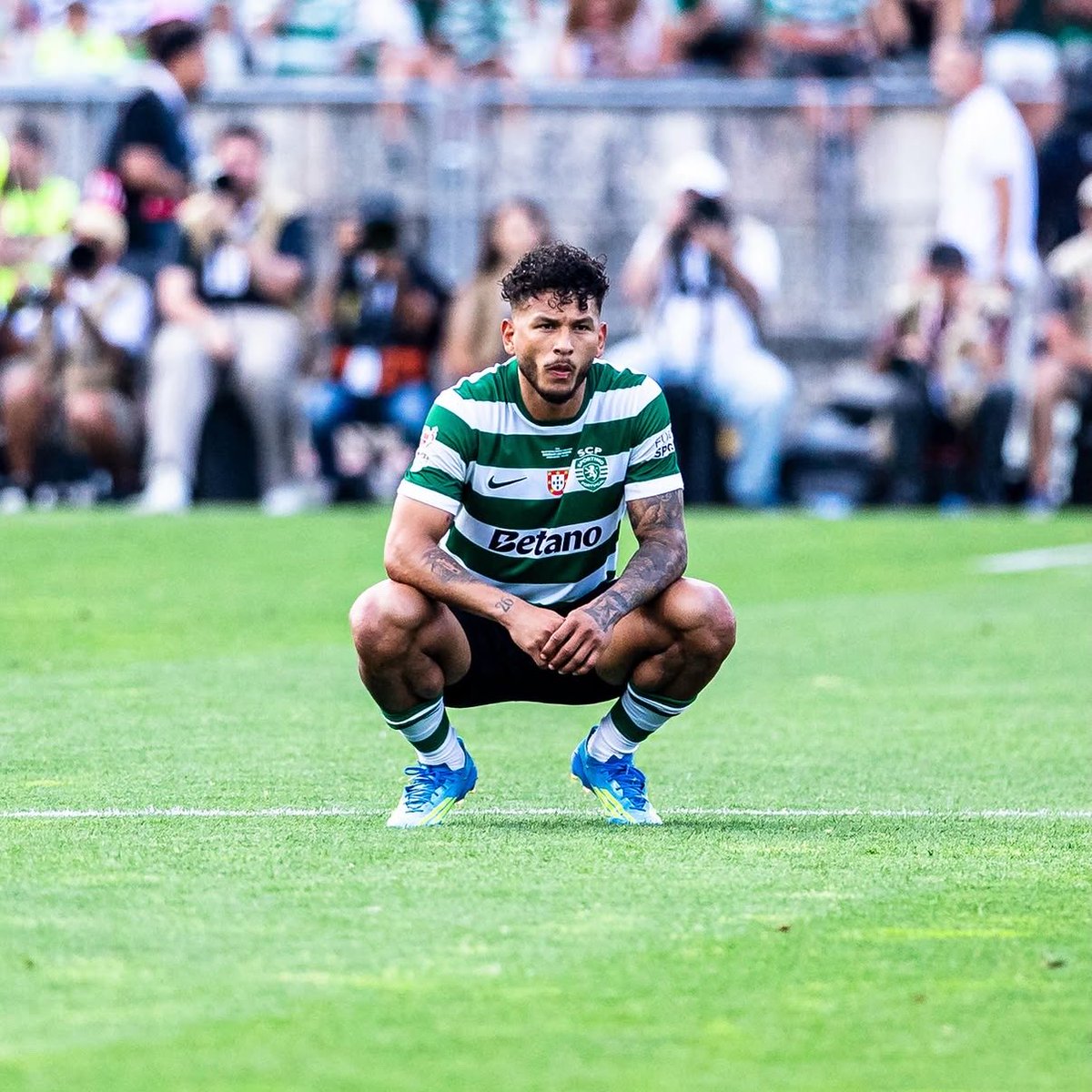Sporting Adeptos tweet media