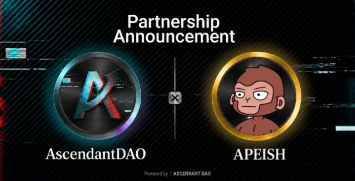 TheAscendantDAO tweet media