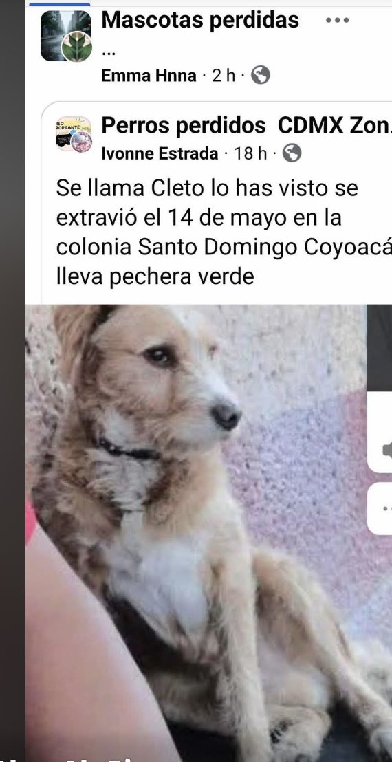 Dra Alejandra tweet media