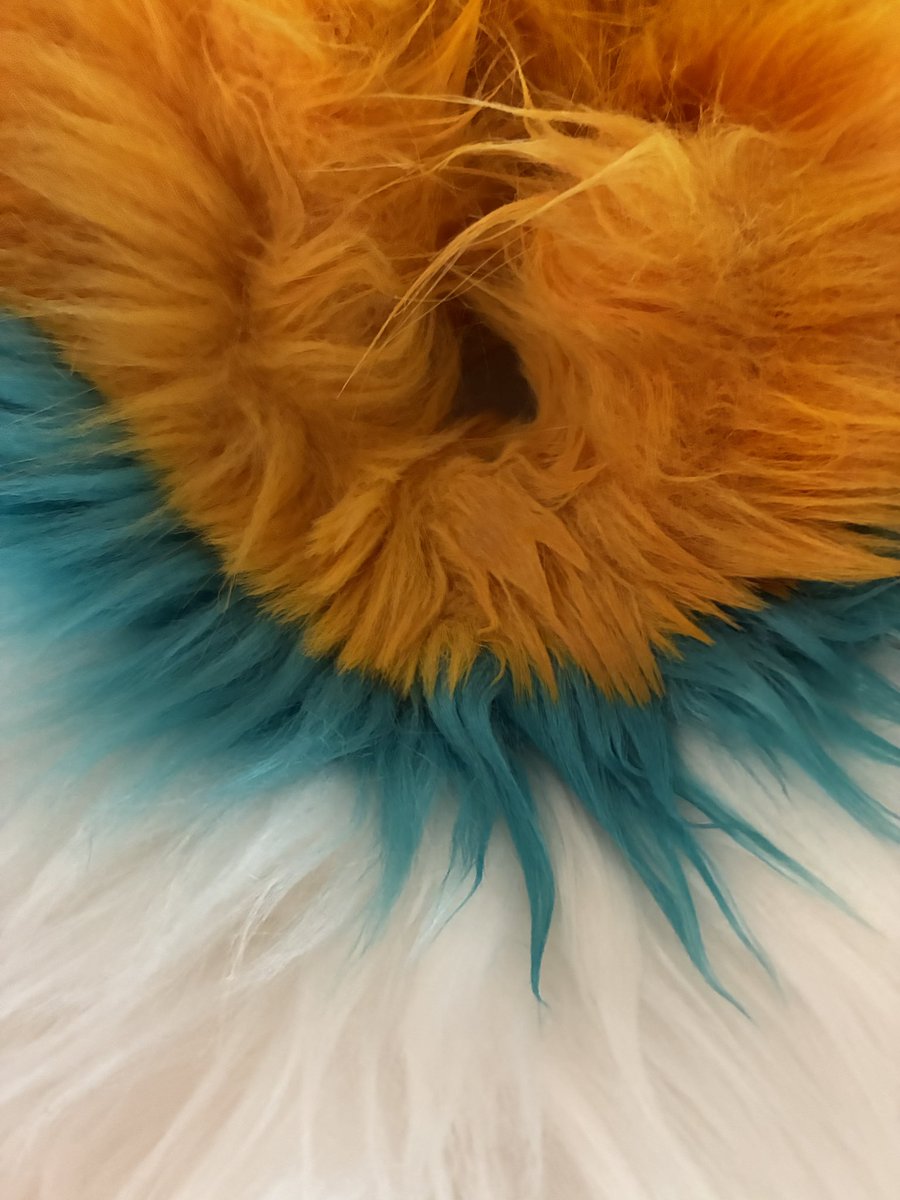 Riley Dog 🧡@ CFz tweet media