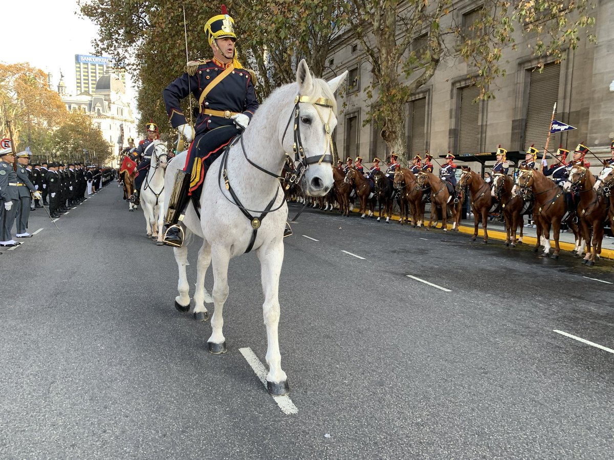 Granaderos a Caballo tweet media