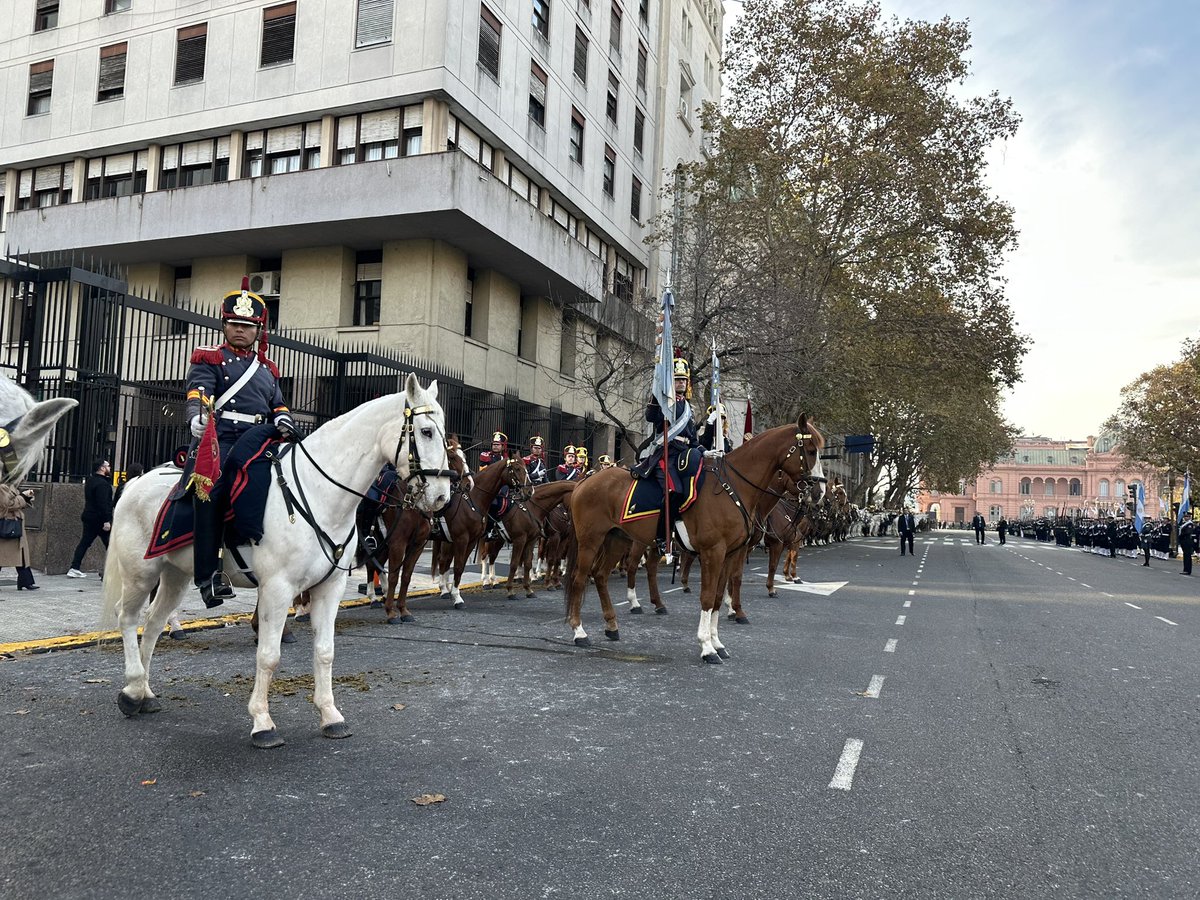 Granaderos a Caballo tweet media