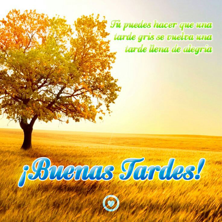 Juan Palma tweet media
