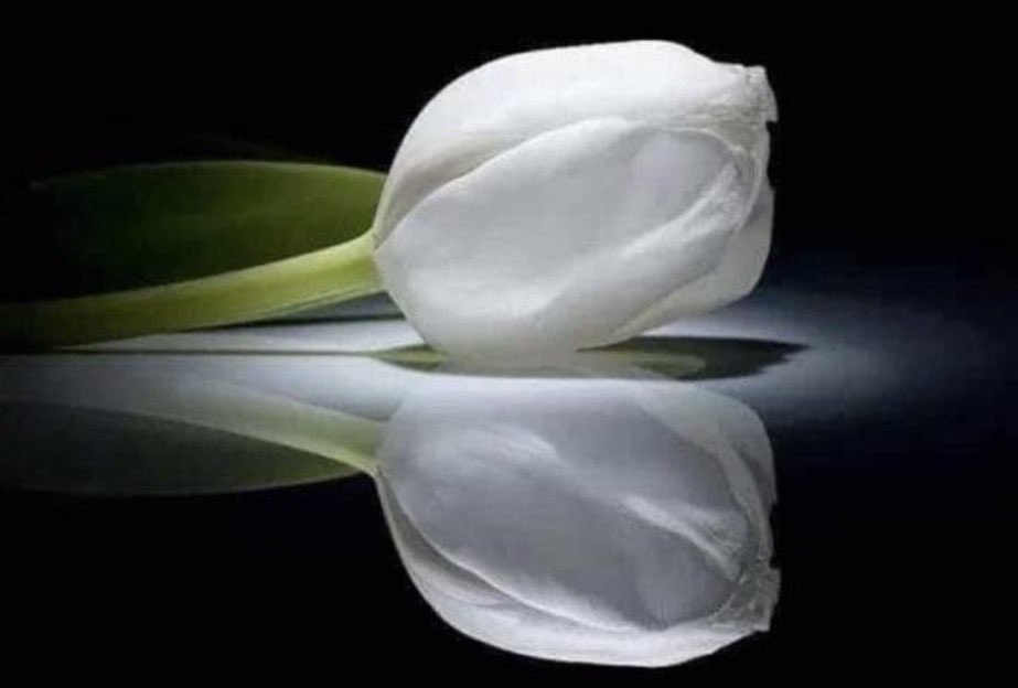 Rima_Talal's tweet photo. صادف يوم ميلادكِ يا أمي أعظمَ الأيام عند الله.
فاللهم اجعل لها من بركتها رحمةً واسعة ومغفرةً وطمأنينة. https://t.co/8oL0XWxnyx