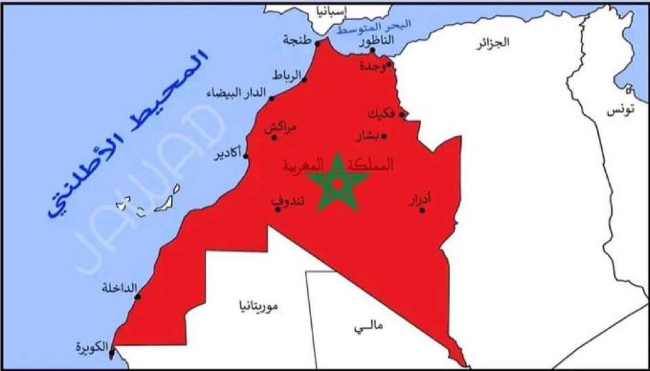 مصطفى tweet media