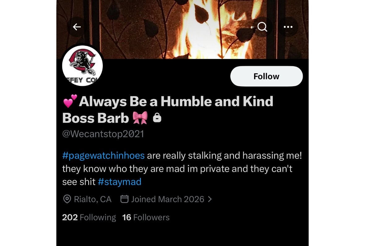 ᴛɪʟᴅᴀᴍɪɴᴀᴊ tweet media