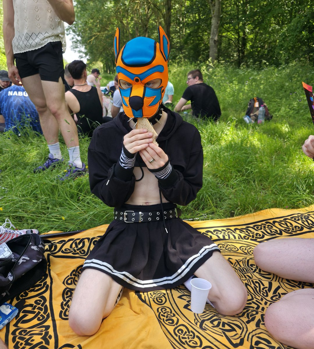 lockedtwinkboy's tweet photo. #Fempup at a picnic 🫣😳 !

#Femboy #pupplay https://t.co/qXehgN5Zi3