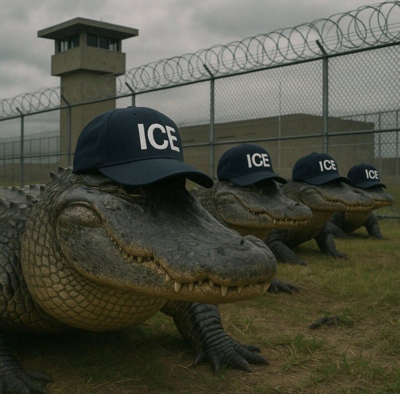 DrStran04203923's tweet photo. @AntiLeftMemes They ONLY get eaten when they attempt to escape. 

That is on them. https://t.co/mYKNO5Iqdo