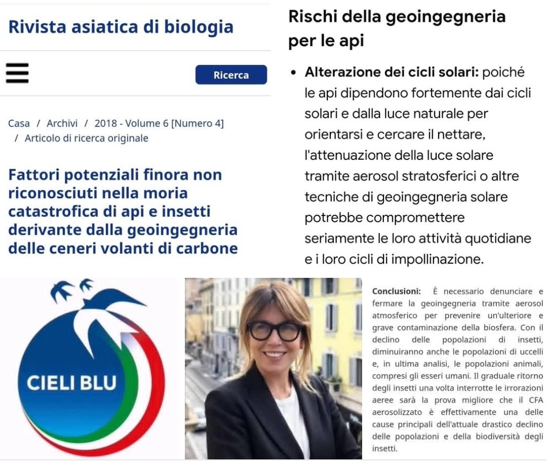 Roberto Nuzzo tweet media