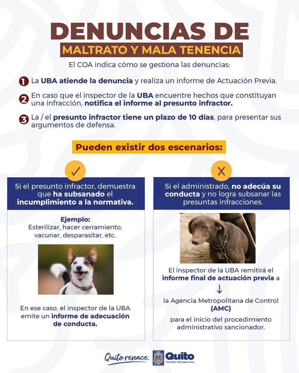 Unidad de Bienestar Animal Quito tweet media