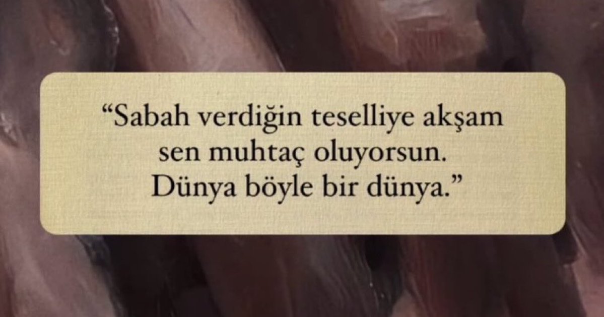 Gregor. (Ali Bayam) tweet media