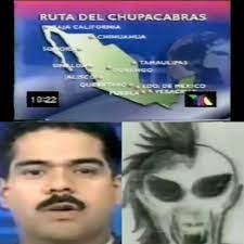 C. A. tweet media