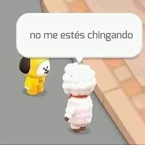 VIEWMIM MÉXICO 🇲🇽 tweet media