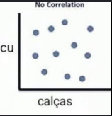 bruno gonçalves tweet media