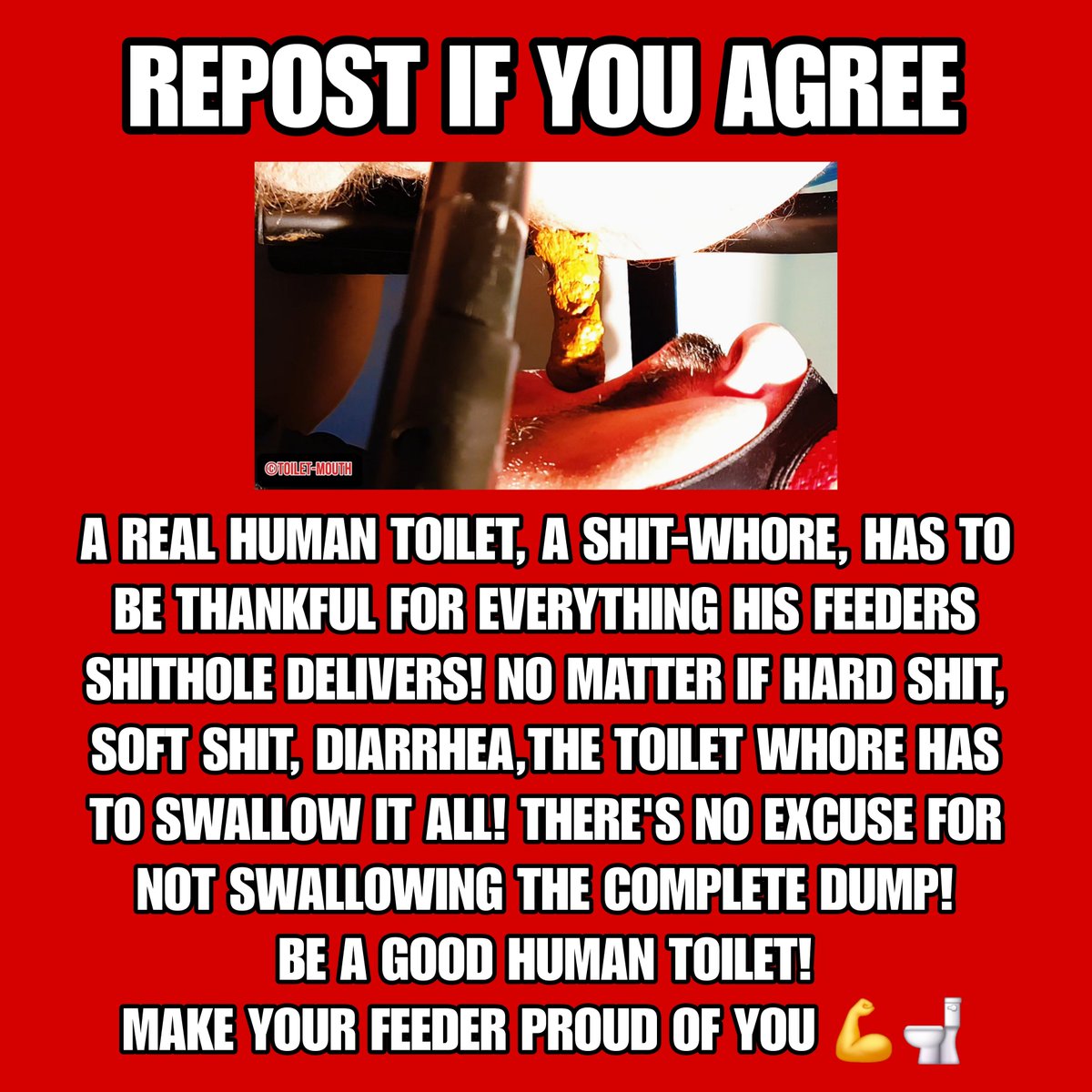 toilet__mouth's tweet photo. There's absolutely no excuse for not swallowing the complete dump! If you call yourself a human toilet you have to swallow whatever comes out! Shit is Shit and you're not in the position to choose what to swallow and what not! You're a dirty, Shiteating Toilet-Whore, nothing else!
EAT SHIT! Eat it completely or stop calling yourself a human toilet

Shame on every wasted dump!

See me eating full loads on:
https://t.co/FENOkPOFo1

#eatshit #shitfeeder #kaviar #pig #merde #mierda #scatswallowing #scat #shiteater #humantoilet #gaytoilet #scatvids #kinkygaysex #scatbook #kinky #shiteater #scatsex #gayfilth #scat #deeprimmer #gayscat #gayshit 
#kinky #scheisse