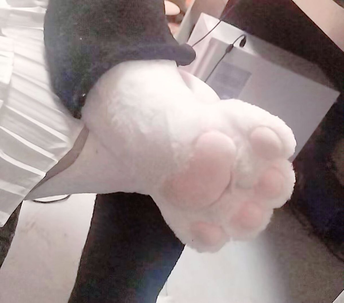 KittyCarrollUWU's tweet photo. paw uwu
#boykisser #sillycat #femboy #furry https://t.co/NEqoAqpApf