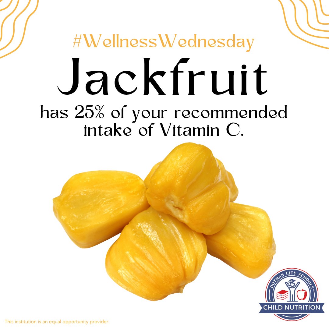 DothanCNP's tweet photo. Jackfruits can weigh up to 80 pounds!

@DCSdothan #lovedothan #dothancityproud #lovedothancityschools #DothanAL #DothanAlabama #DothanCity #ALschools #HoustonCounty https://t.co/sGmKRrO1A4