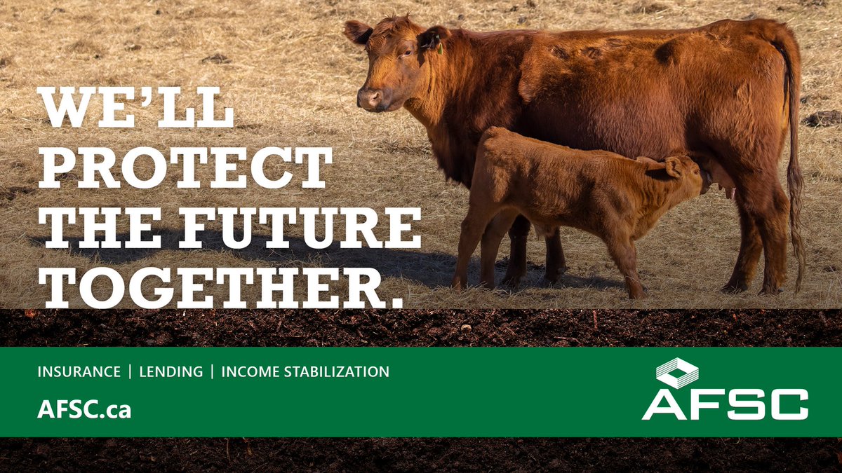 AFSC_AB's tweet photo. Livestock Price Insurance-Calf policies are available to purchase until June 11, 2026. Choose from a range of coverage options every Tuesday, Wednesday and Thursday. Visit https://t.co/L2PuFcYCrX to learn more and sign up to get the premiums &amp; settlements delivered to your inbox. https://t.co/HYbIddSz39