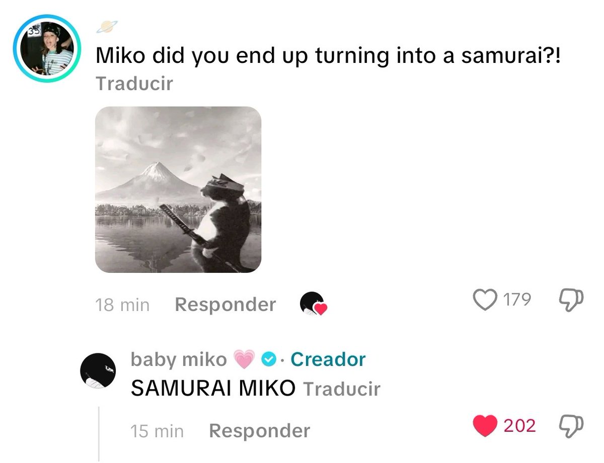 Mitch🦖 tweet media