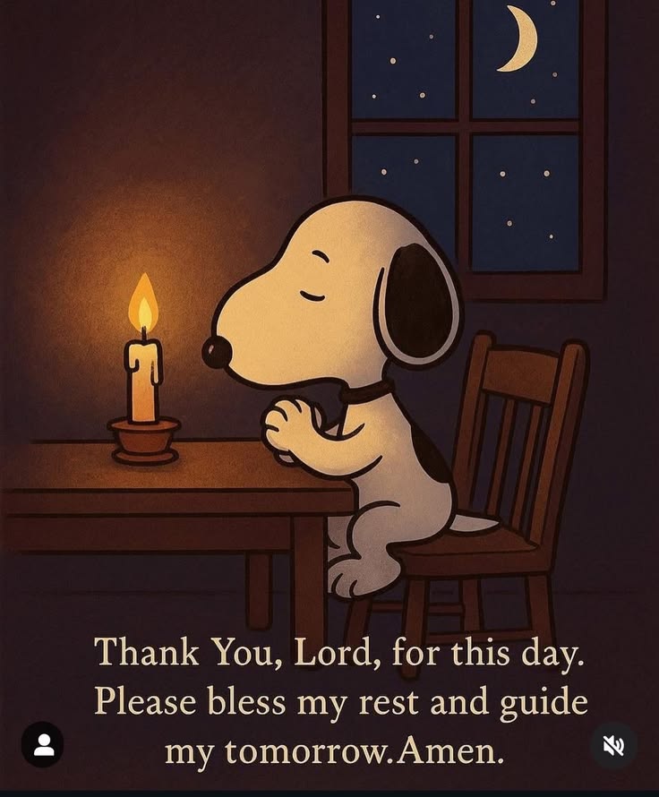 Snoopy Lover❣️🐾 tweet media
