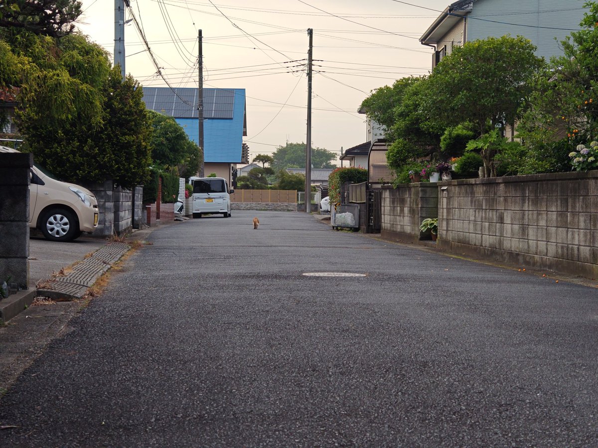 まさどん tweet media
