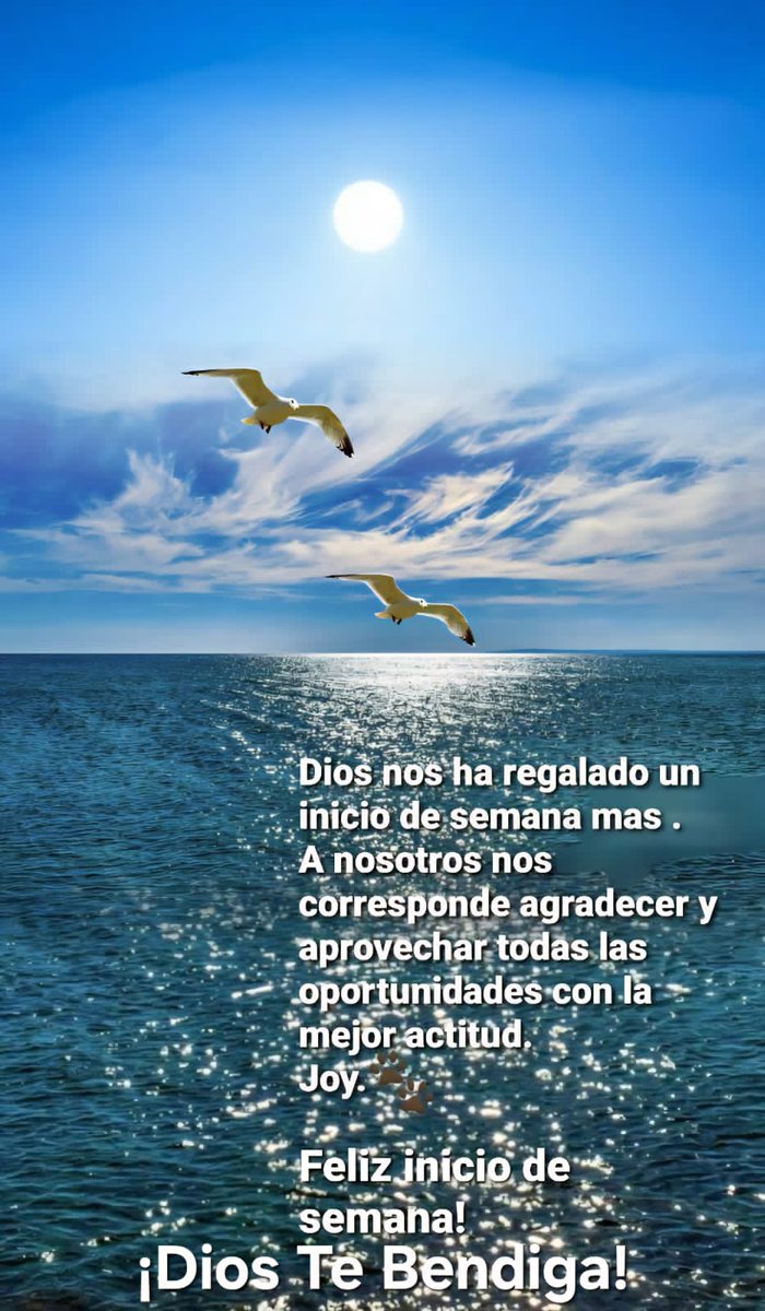 Carmen Torres tweet media