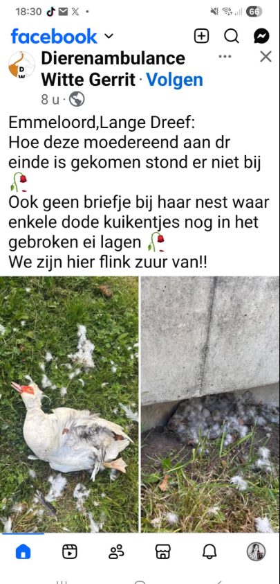 Mirjam152 tweet media