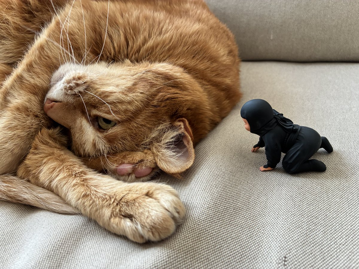 ねことプラモデル tweet media