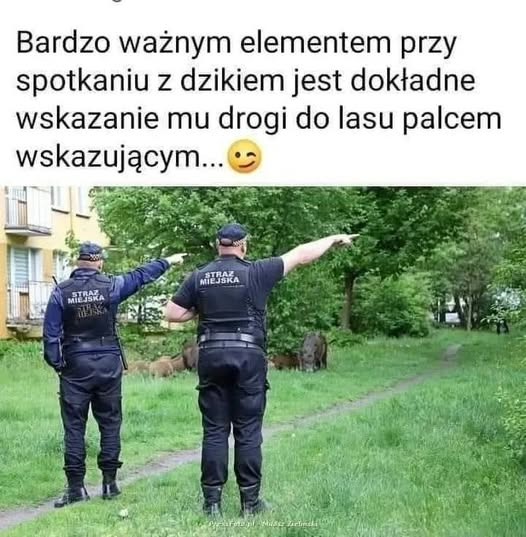 Andrzej Zapałowski tweet media