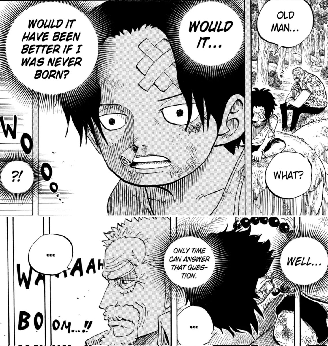 straw hat fuly tweet media