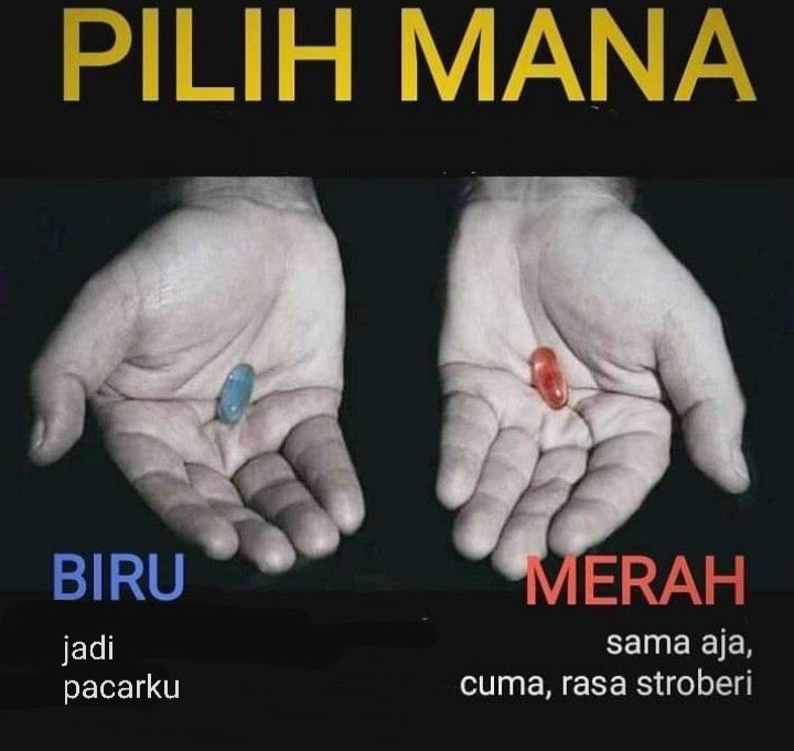 𝒛𝒂𝒂 tweet media