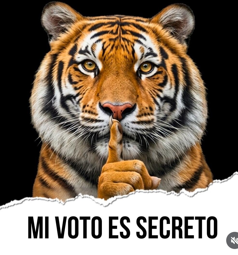 Aprende del Dinero tweet media
