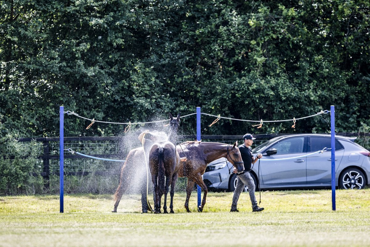 guardspoloclub's tweet photo. Week one of the @Cartier Queen’s Cup complete 🐎 Catch up on our daily match reports here https://t.co/NEMzxQ2uke

#guardspoloclub #polo #windsor #cartierqueenscup https://t.co/MWVVbgOcZv