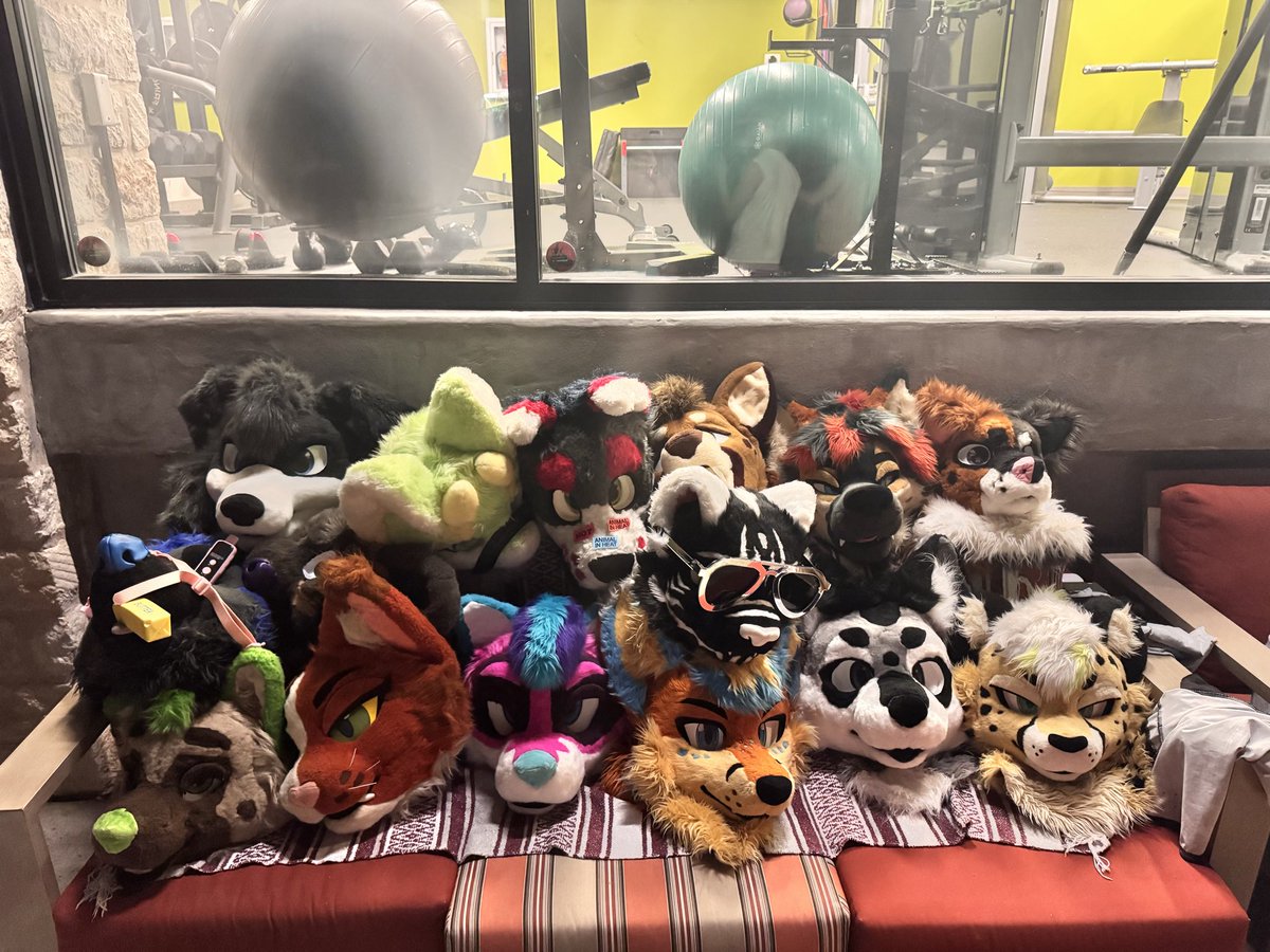 jager_gshep's tweet photo. wruufff! heres to 24 and the amazing people around me❤️❤️

@ToastyTiger @sauceman269 @SpadesKitty @StelloFell0w @VanHyena @ApolloTheFolf @Schrodoggo @Maned_Marston @marshislive @Sandi_Colli and so many more❤️❤️ https://t.co/UArhGYBdEI