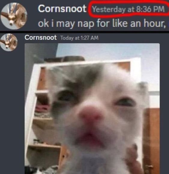 ThunderTank96's tweet photo. @Distrbeachboy Congrats on the 300k! Idk if I have a chance but I'll still post a pic of my girl Casey and a random meme I got saved lol https://t.co/X2pdrFF7Wa