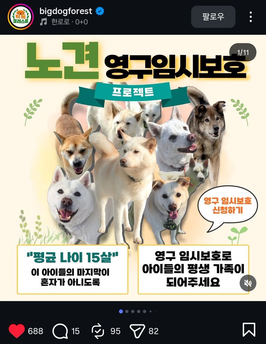 신하🐶영이 tweet media