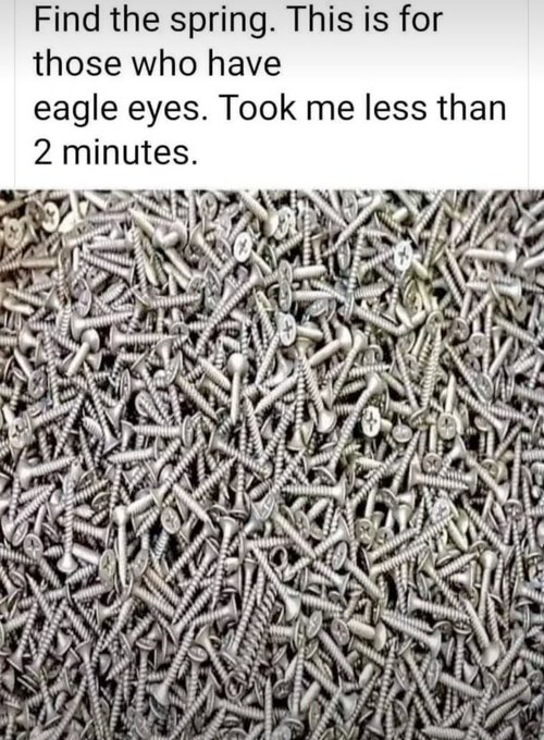 Motivation86958's tweet photo. Can you locate the spring? 🧐. https://t.co/KjM2xVUIK7