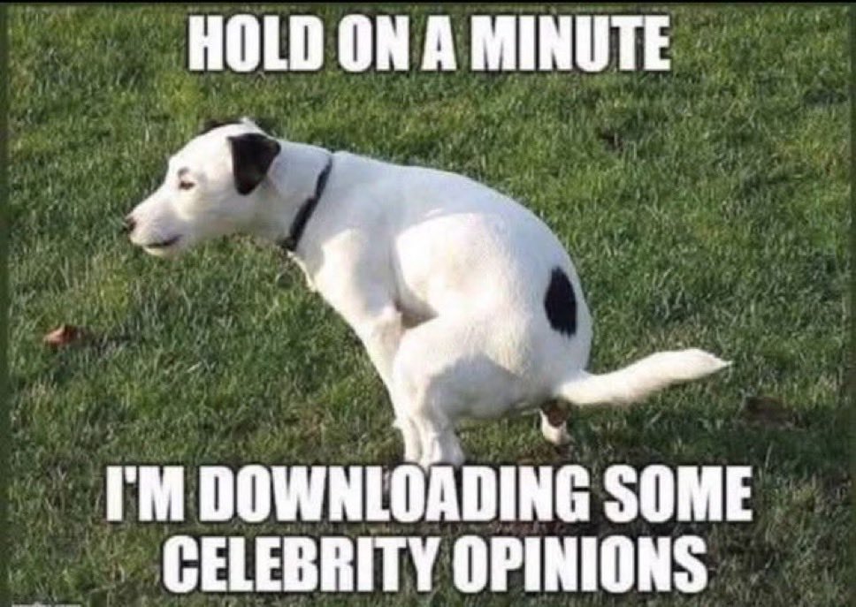 Matt1774 tweet media