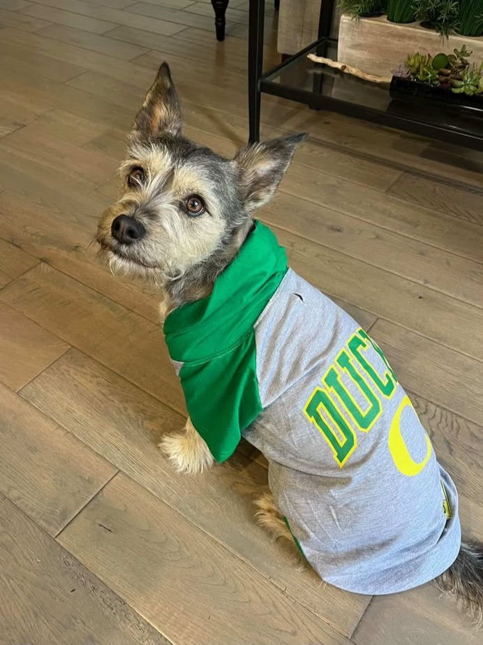 University of Oregon tweet media