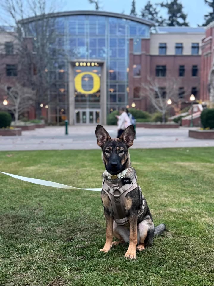 University of Oregon tweet media