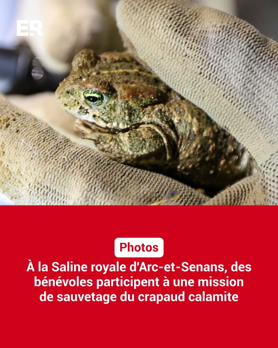L'Est Républicain tweet media