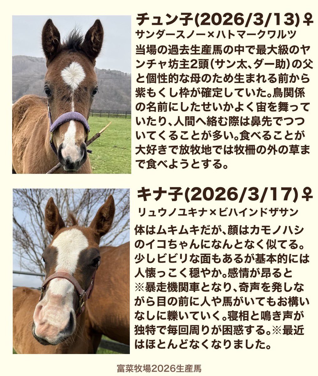 富菜牧場 tweet media