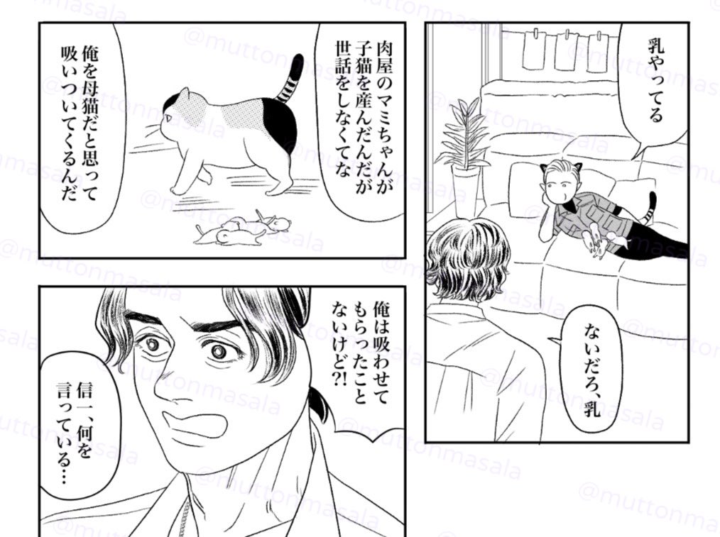 まとんマサラ▶️6/28信風 tweet media