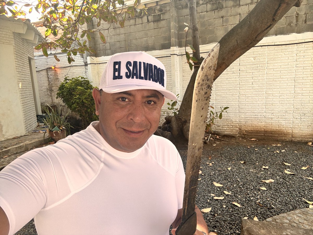 Sergio Bermudez tweet media