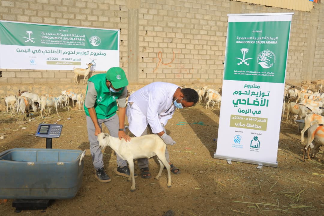 HumanAccessOrg's tweet photo. اطّلع فريق مركز الملك سلمان للإغاثة والأعمال الإنسانية @KSRelief في مأرب على جاهزية تنفيذ مشروع لحوم الأضاحي لعام 1447هـ، الذي تنفذه جمعية إنسان بالتعاون مع جمعية الوصول الإنساني، من خلال جولة تفقدية شملت متابعة فحص المواشي والتأكد من مطابقتها للشروط الشرعية والمعايير الصحية.

ويستهدف المشروع توزيع 4,140 أضحية في محافظات عدن وحضرموت ومأرب والمهرة، ليستفيد منها 49,680 فردًا من الأسر الأشد احتياجًا، بما يسهم في إدخال الفرح والسرور خلال أيام عيد الأضحى المبارك.

A team from the King Salman Humanitarian Aid and Relief Center @KSRelief_EN in Marib inspected the readiness for the 1447 AH (2026) Udhiyah (sacrificial) meat distribution project, implemented by the Ensan Charity Committee for Orphans Care @ensanorg  with the HUMAN ACCESS Association. The inspection included monitoring the livestock and ensuring their compliance with religious and health standards.

The project aims to distribute 4,140 sacrificial animals in the governorates of Aden, Hadhramaut, Marib, and Al-Mahra, benefiting 49,680 people from the most vulnerable families and contributing to bringing joy and happiness during the blessed days of Eid al-Adha.

#أضحيتك_نوصلها_بمحبة #HUMANACCESS #KSRelief #Ensanorg