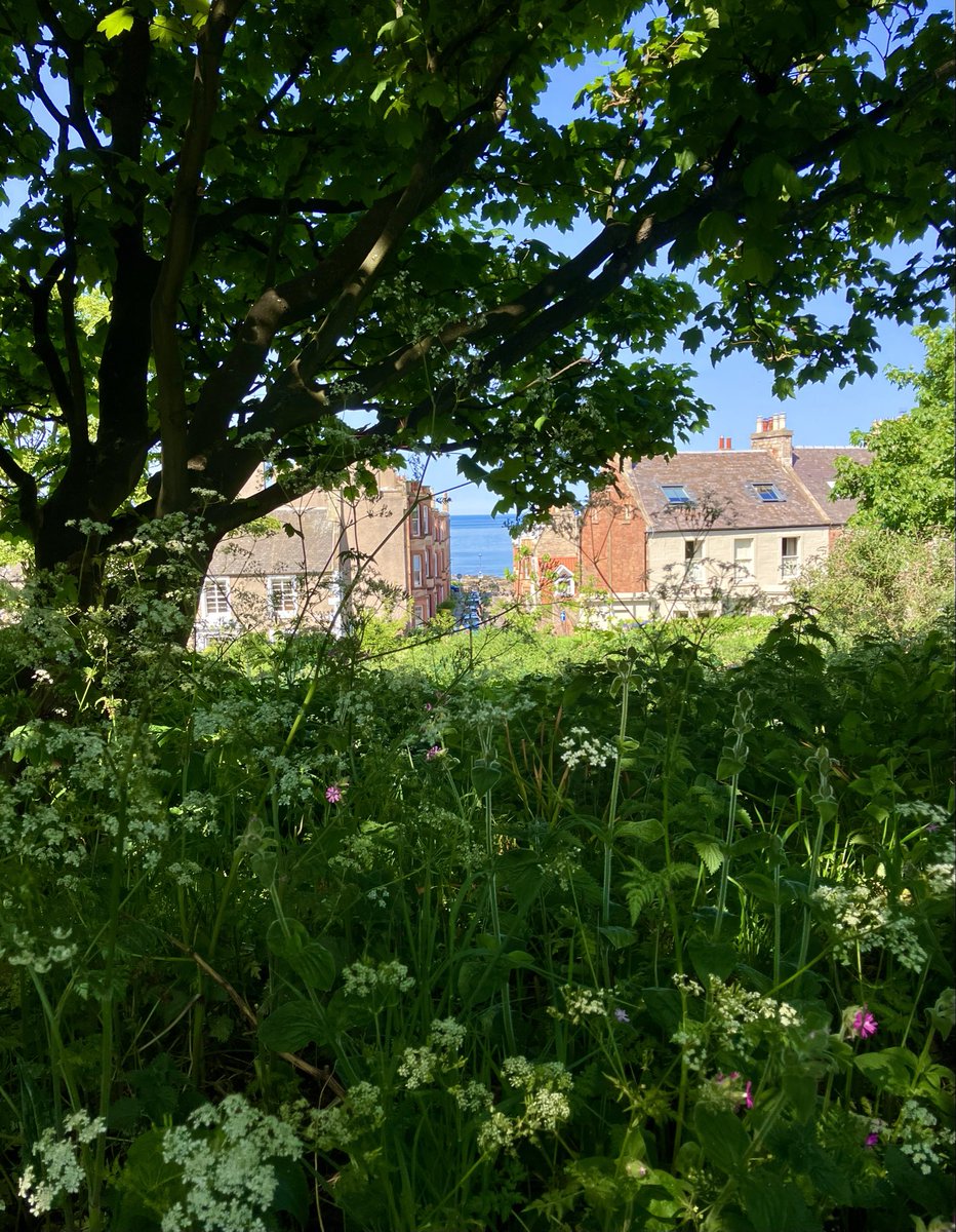 SydneyDogWalker's tweet photo. Feels like Summer βοΈππ€π©΅ππ
#bluemonday #bluehues #blueandgreen
@metoffice @BBCWthrWatchers @VisitScotland @goeastlothian https://t.co/Ss3NdEd2GS